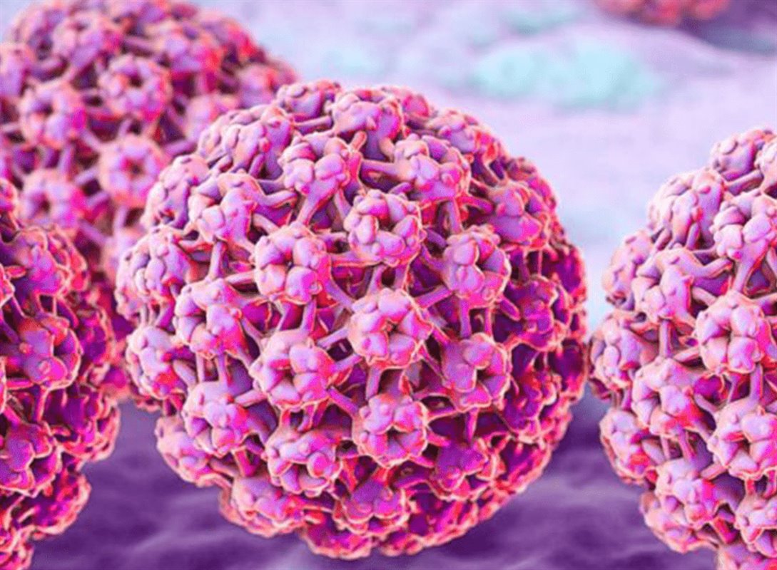 تست HPV
